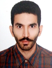 محمد رضا مولوی