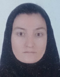 شیرین میرزازاده ولیلو