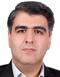 سید مهدی حسینی فرد