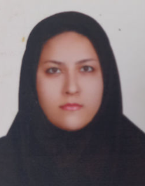 پریسا سادات عبدالهی