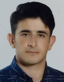 هادی موسی پور