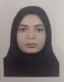 هانیه تقی زاده