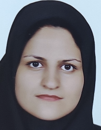 پریسا سلیمانی رودی
