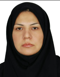 مهناز مجاهد