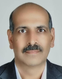 سعید لطفی