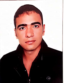 مجتبی تنهائی