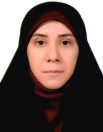 سیده محدثه منافی