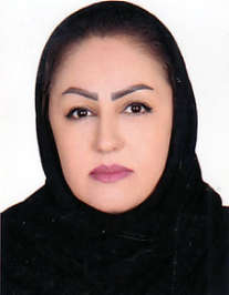 مریم ابراهیمی فیروزآباد