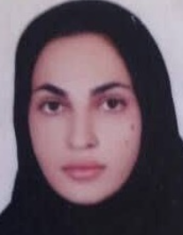 حدیث بدری فر