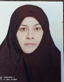 حمیده زالی