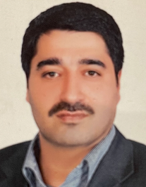 محسن منصوبی فر