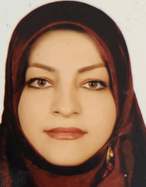 فائزه حسین زاده سرابی