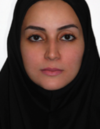 هانیه شکری میرحسینی
