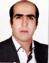 امیر ولی زاده