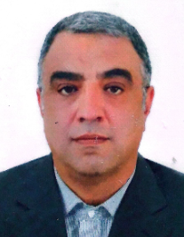محمد دانایی
