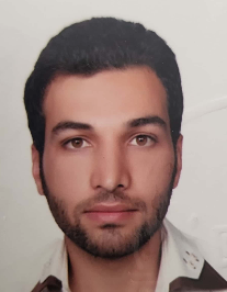 امیر صفری