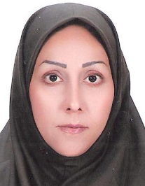 آزاده سیدمیرزایی جهقی