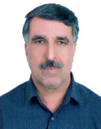 محمدرضا حمزه