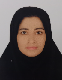 نسرین اولیائی