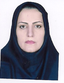 نقشین محمدی