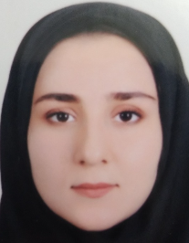 مینا رجبی