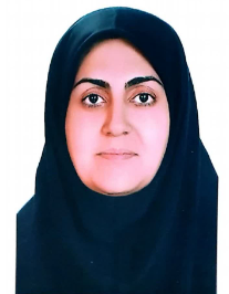 متین سلطانی