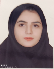 انیس کرمی