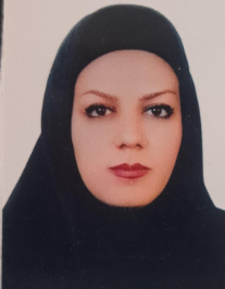 مینا سادات میری