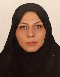 مینا هاشمی