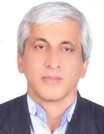 سید مرتضی ابراهیمی