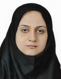 منیرسادات حسینی
