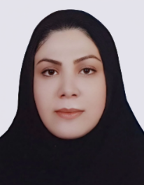 هودا براری پایین افراکتی