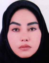 سولماز حسن زاده فر