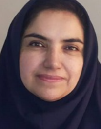 پروین رضائی گزکی
