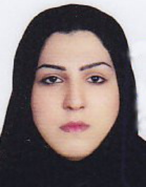 پریسا زبانی