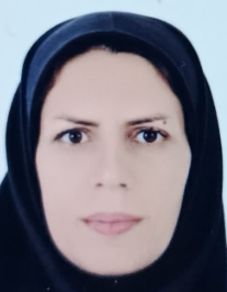 فرزانه ارزن زرین