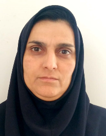 مدینه اسدی