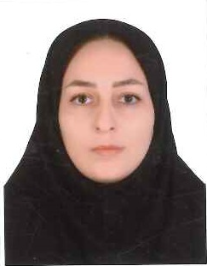 مریم نعمت اللهی