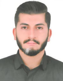 میثم سبوکی