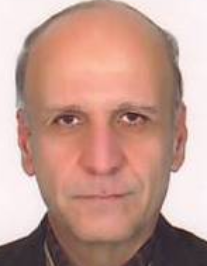 محمدحسین محمدی وند کشکی