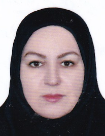 سیده کبری میرزاده موسوی