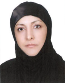 مهناز میررکنی