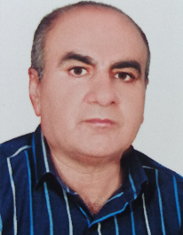 ناصر محمودزاده