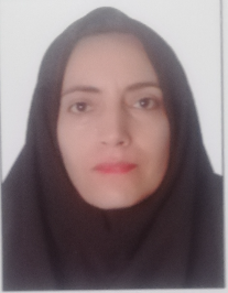 لیلا ماهویی باجگیران