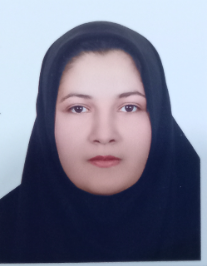 مهدیه رضائی نسب حسین آبادی