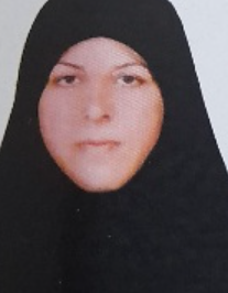 انسیه رجبی مقدم  لیمویی
