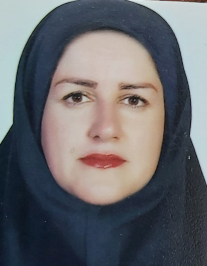 پریسا متولی کهنه شهری