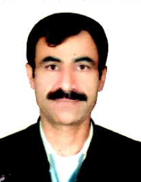 علی رادی