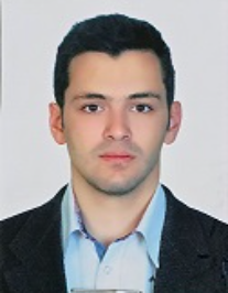 سید محمدرضا میرشاه علی