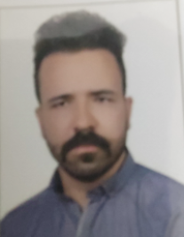 حمید بیگی